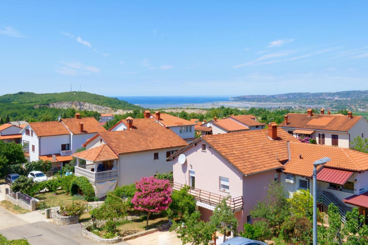 Apartments Belvedere By Rent Istria Plovanija 외부 사진